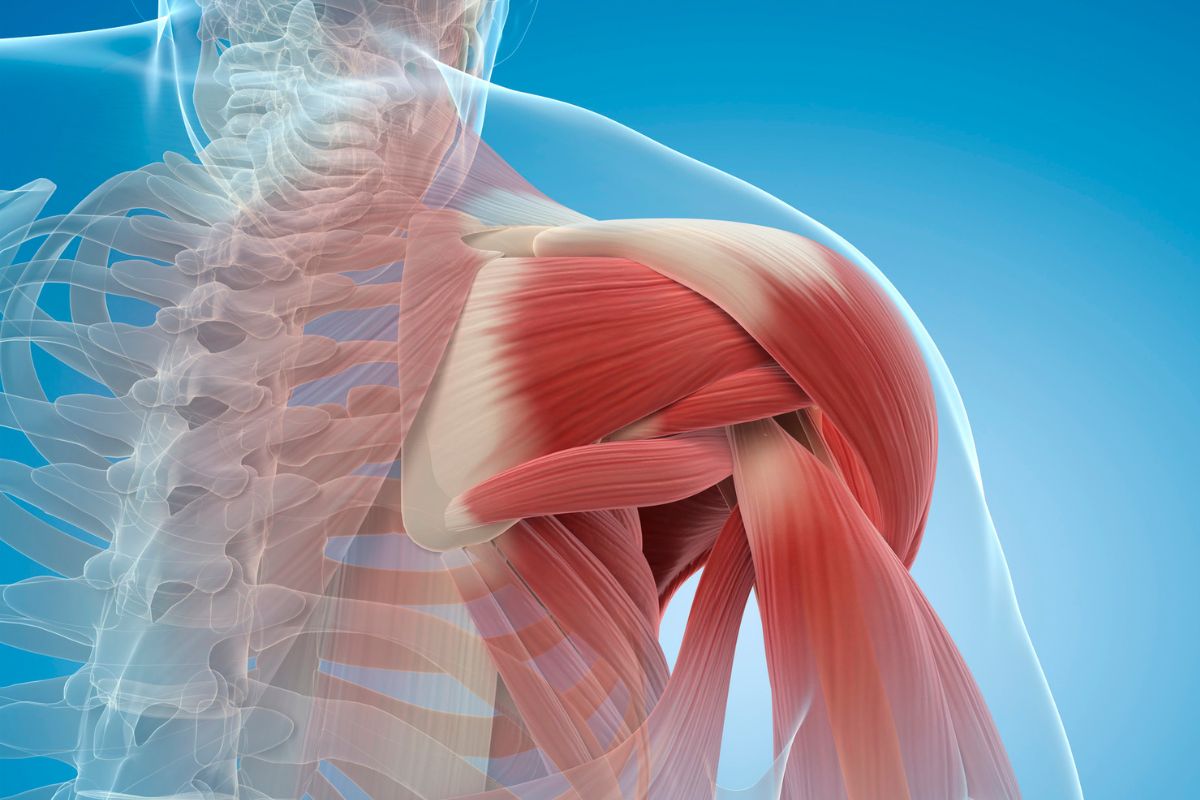 I benefici dell’Idrokinesiterapia per la riabilitazione della spalla